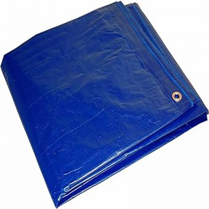 PE Tarp