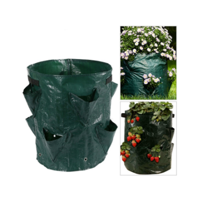 Mushroom Fruit Bag Pot for Gardening 1