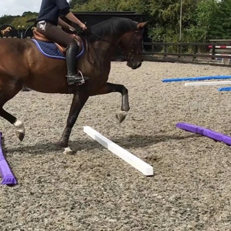 Light Soft Poles Trot Poles for Horse Show Jumping Training 1